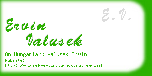 ervin valusek business card